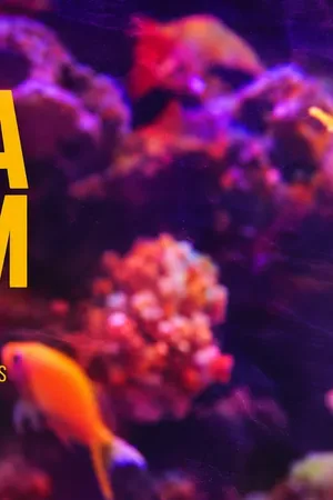 Event image: Aquarium