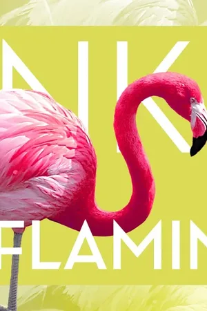Event-Bild: Pink Flamingo