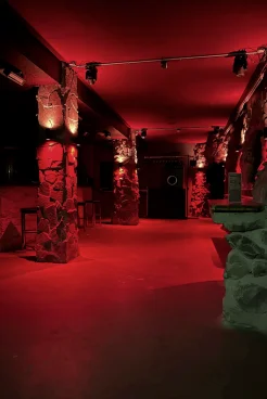 D8 Club Galeriebild 5