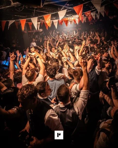 Paisley Galeriebild 4