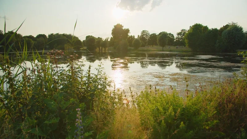 Rebstockpark Galeriebild 1