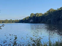 Stadtwaldsee Galeriebild 1