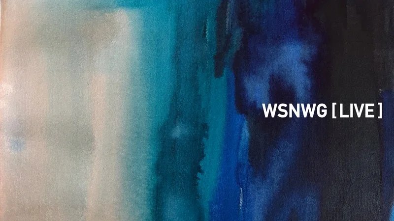 Flyer: WSNWG LIVE Flyer: WSNWG LIVE