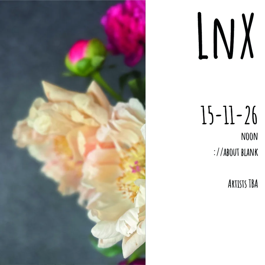 Flyer: LnX Flyer: LnX