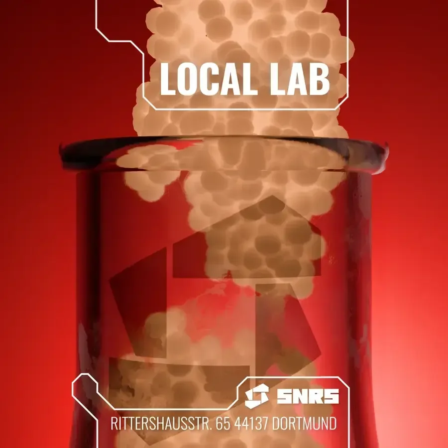 Flyer: SNRS LOCAL LAB Flyer: SNRS LOCAL LAB
