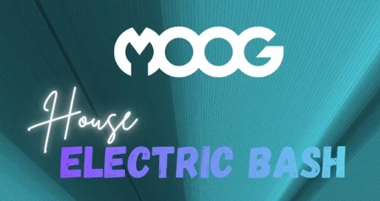 Flyer: Electric Bash Flyer: Electric Bash