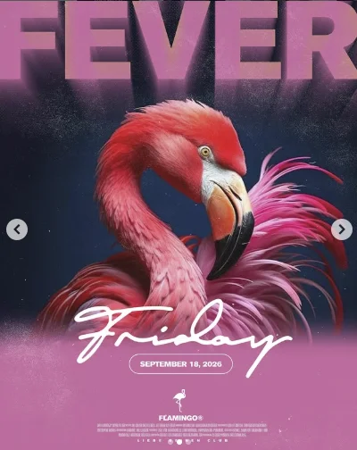 Flyer: FLAMINGO FEVER Flyer: FLAMINGO FEVER