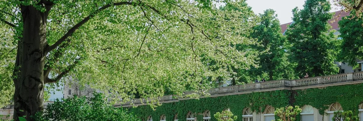 Foto von Orangerie Neukölln Foto von Orangerie Neukölln