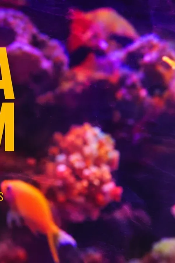 Event image: Aquarium