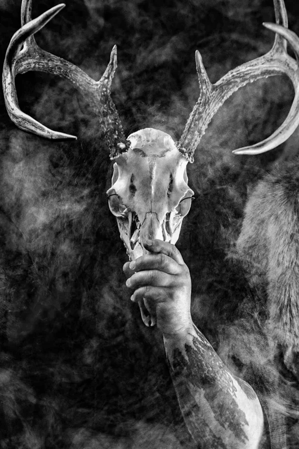 Event-Bild: Wolves in the Throne Room