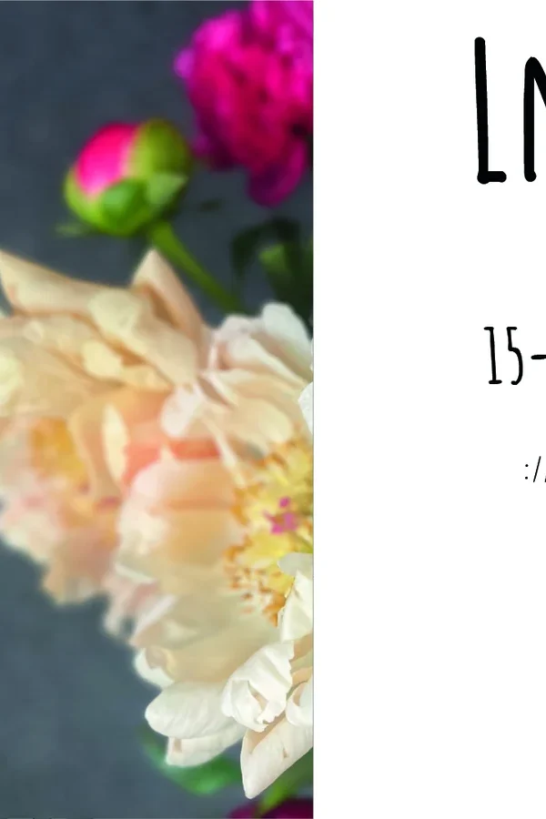 Event: LnX Event-Bild: LnX