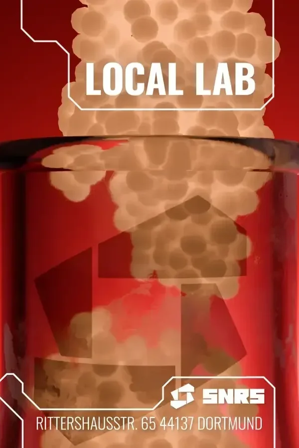 Event-Bild: SNRS LOCAL LAB