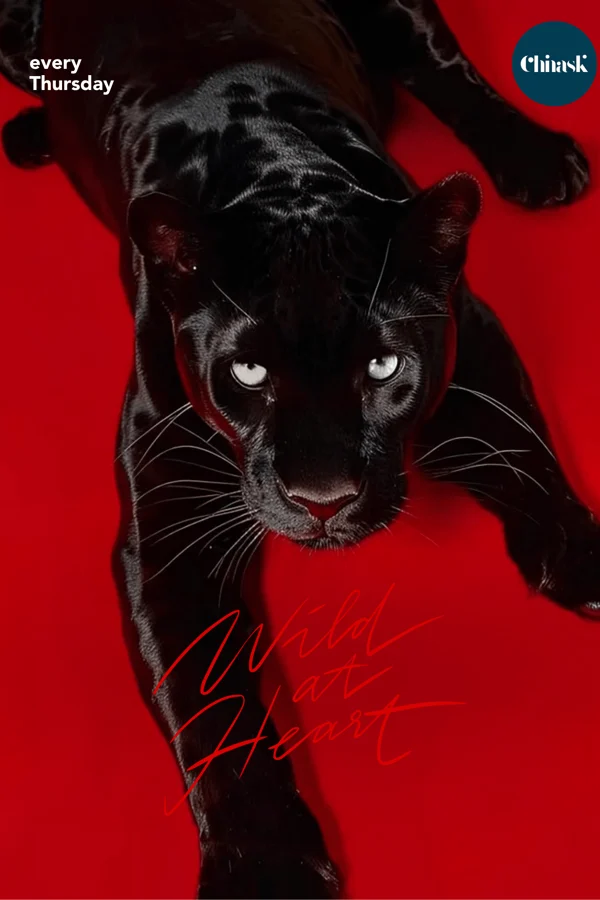 Event: WILD AT HEART Event-Bild: WILD AT HEART