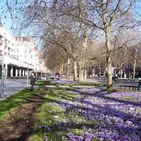 Location Cover
