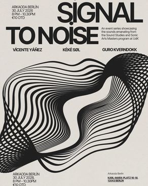 Event image: Signal To Noise: Vicente Yáñez, Kėkė Søl, Guro Kverndokk