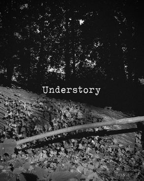 Event-Bild: Understory