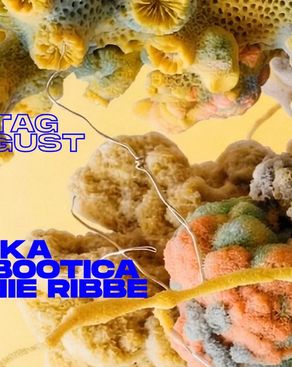 Event-Bild: AKA AKA, Moonbootica, Melanie Ribbe