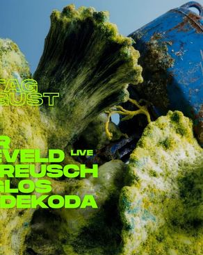 Event-Bild: Reinier Zonneveld live, Anna Reusch, Klanglos, Mark Dekoda