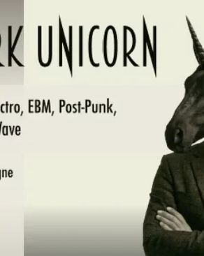 Event: DARK UNICORN by DJ Martin Heiland Event image: DARK UNICORN by DJ Martin Heiland