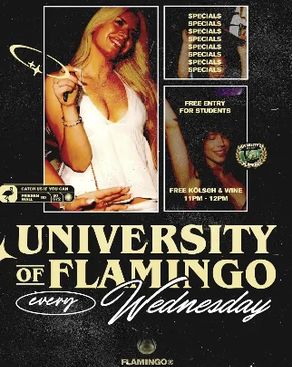 Event: University of Flamingo Event image: University of Flamingo
