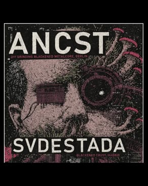 Event-Bild: ANCST + SVDESTADA