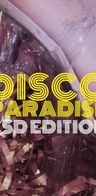 Event-Bild: Disco Paradise CSD Special