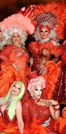Event: Magie der Travestie Event-Bild: Magie der Travestie