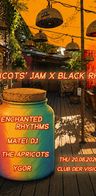 Event: Apricots' Jam x Black Rhino Event-Bild: Apricots' Jam x Black Rhino