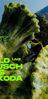 Event-Bild: Reinier Zonneveld live, Anna Reusch, Klanglos, Mark Dekoda