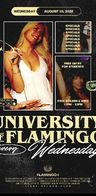 Event: University of Flamingo Event image: University of Flamingo