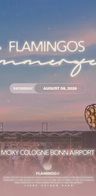 Event-Bild: Flamingos Sommerfest 2026