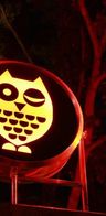 Event-Bild: Eule/XO Donnerstag