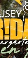 Event: Housey Friday Biergarten Open Air Event image: Housey Friday Biergarten Open Air