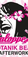 Event-Bild: Saloppe Botanik Beats - Afterwork